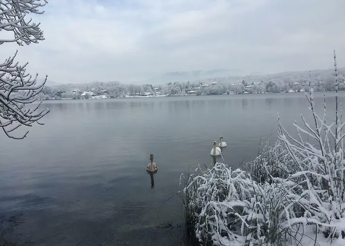 아파트 Brusisch 1638 *